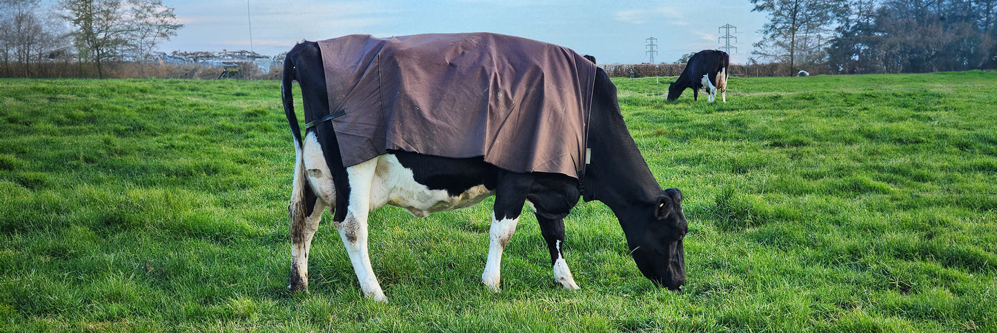 PB1650L Canvas Lined Cow Cover - Charcoal tab