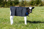 PB650L Canvas Lined Calf Cover - Red Tab