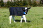 PB800 Canvas Calf Covers