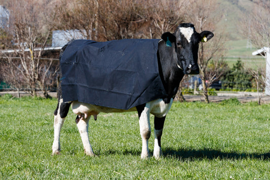 PB1650L Canvas Lined Cow Cover - Charcoal tab