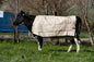 JB1275 Jute Cow Cover - Dark green tab