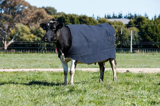 PB1500L Canvas Lined Cow Cover - Light Green Tab
