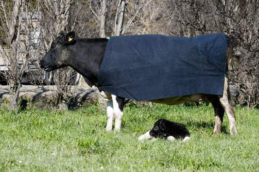 PB1500 Canvas Cow Cover - Light green Tab